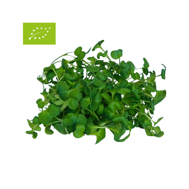 BROCCOLI BIO 30G