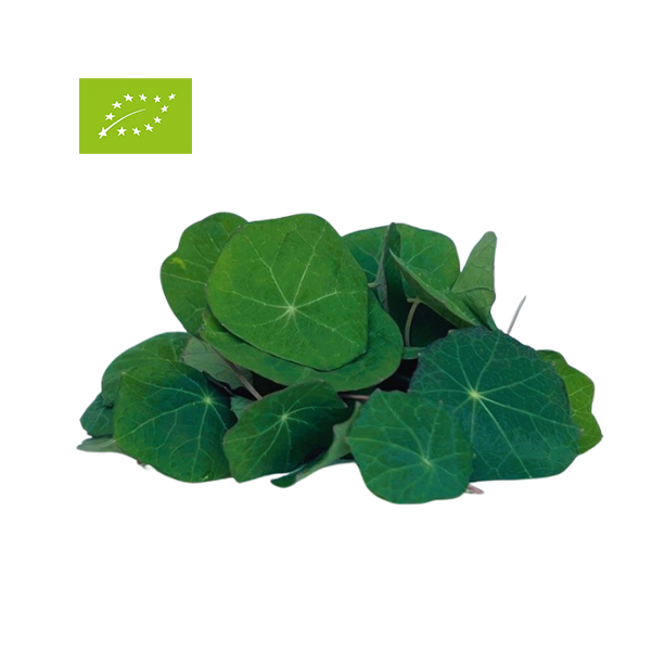 NASTURTIUM LEAVES (CAPPUCCINO) BIO 25gr