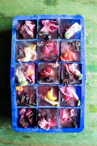 Ice cubes with petals