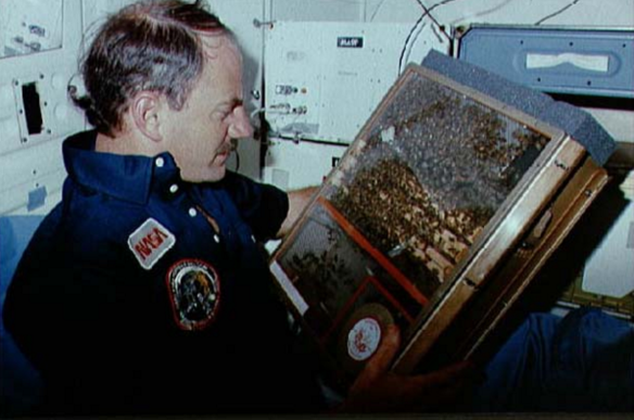 Astronaut James D van Hoften holds Bee Enclosure Module/(NASA)