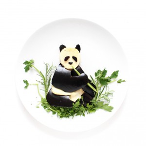 culinary-canvas-panda-fwx