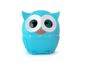 cute-owl-timer-600x458